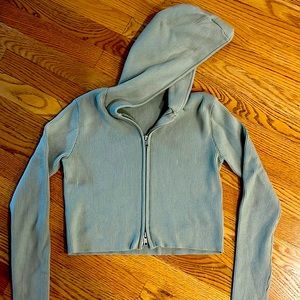 John Galt Arden Hoodie in celadon